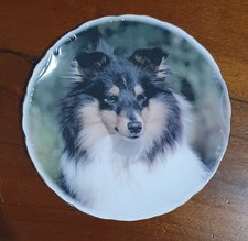 Custom Starprint Bone China Sheltie Breeder's Commemorative Plate