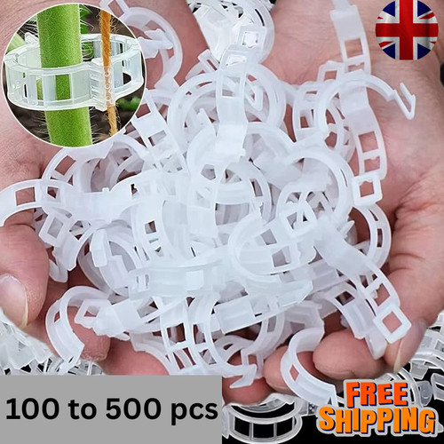100x clip tomato - tomato, veggie