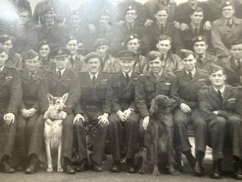 Ww2 raf group photo dog - group,