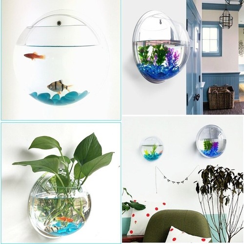 Hanging wall mounted fish - hanging,