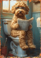 Poodle Dog on Toilet Funny