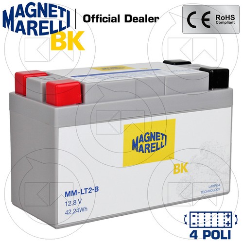 Lithium battery magneti - lithium,