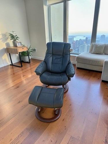 Immaculate small ekornes - immaculate,
