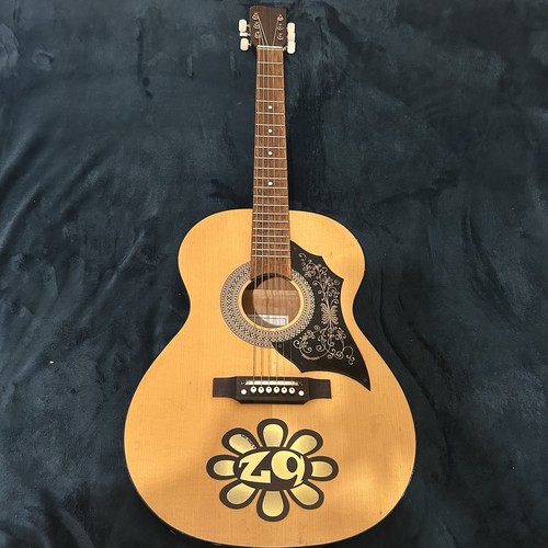 Acoustic guitar mid 1960 - guitar,, 1960’s