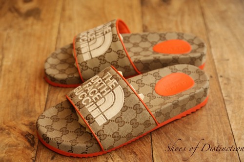 Gucci the north face - face, canvas