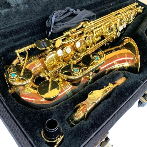 Yanagisawa 901 alto - yanagisawa, a-901