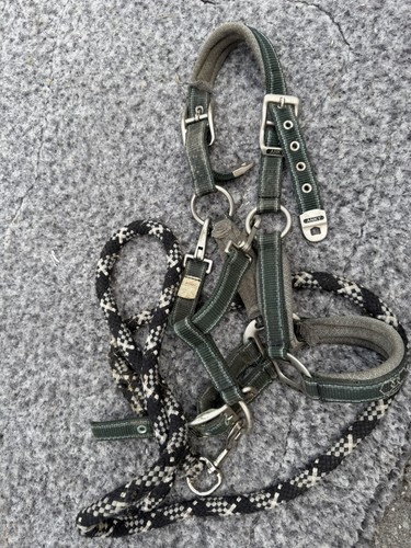 Anky nylon horse headcollar - nylon,