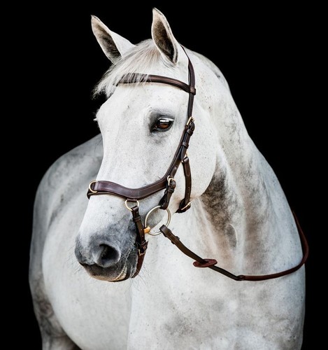 Horseware micklem multi - 2,