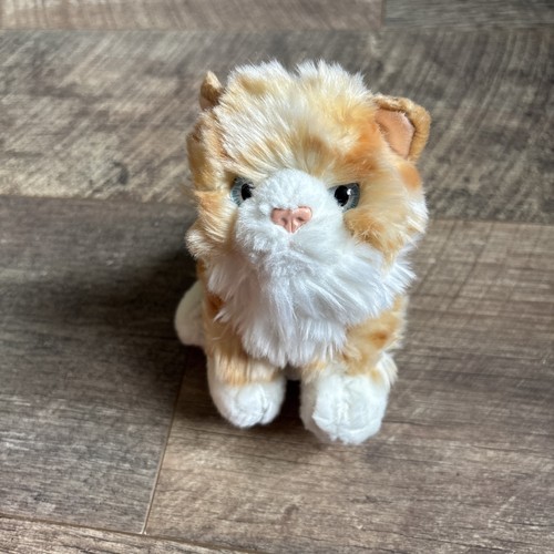 Kitten ginger white kitty - &,