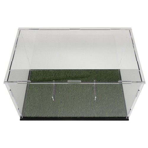 Clear display box rugby - display,
