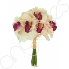 Cream & Cerise Hand Tied Bunch of Cymbidium Orchids (26cm) Arrangement Filler Bu