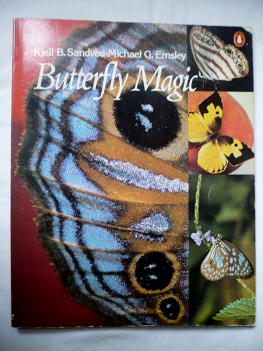 Butterfly magic softcover - butterfly, magic,