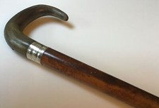 Antique Rams Horn Walking Cane/Stick