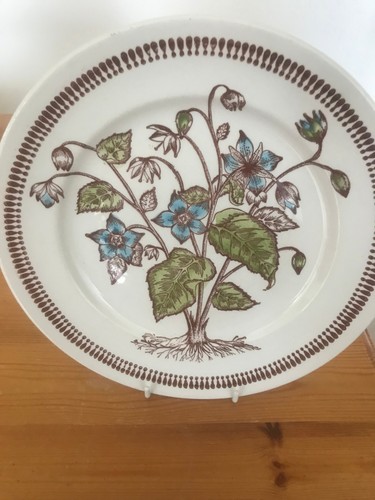 Kathie winkle dinner - winkle, plates