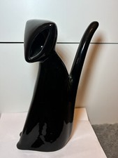 Very Unusual Black Cat