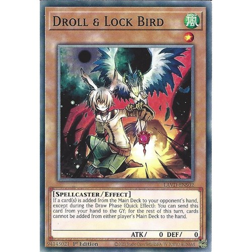 Lavd ens02 droll - lavd-ens02, bird