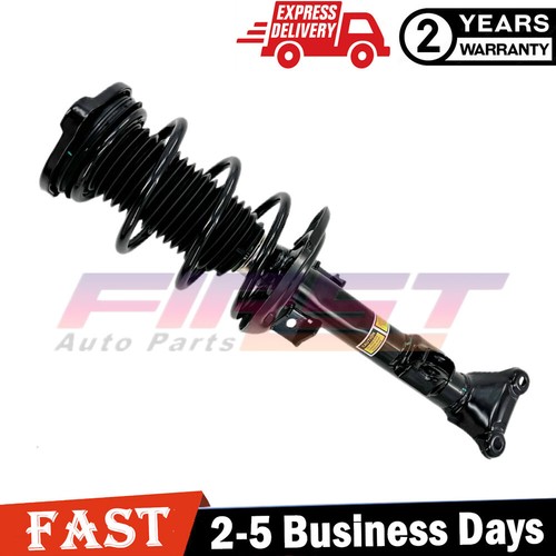 Front shock strut assy - shock,