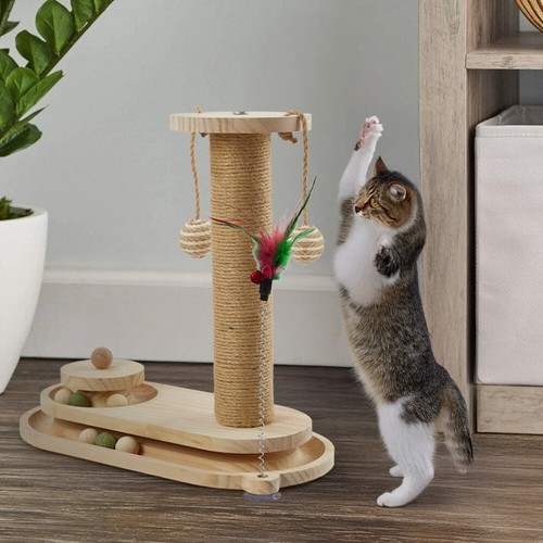 Large cat scratching - large, and