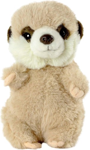Living nature baby - baby, meerkat