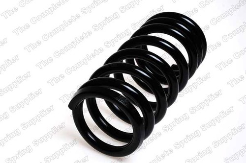 Coil spring for ford - for, ford:granada