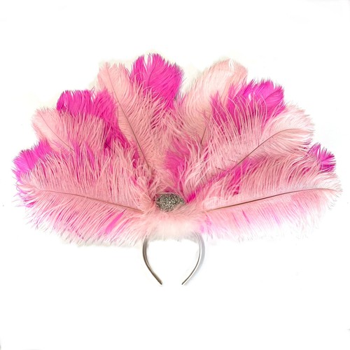 Ostrich feather drab carnival - ostrich,