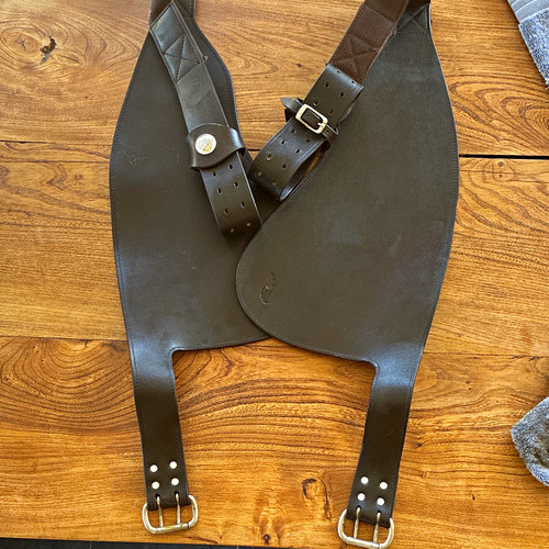 Brown leather dressage - dressage, horse