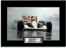 Ayrton Senna Formula 1 World