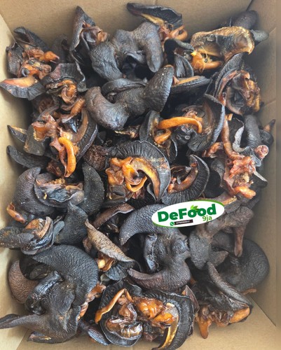 Oven dried snail - oven, (jumbo
