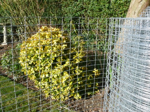 3ft 30m welded wire - x, mesh