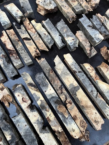 Buckeye burl live edges for - live,