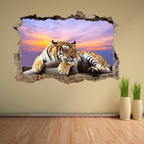 Tiger sky sunset - tiger,