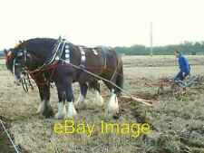 Photo 6x4 Horse-drawn plough At Swale Ploughing Match Grove End Farm Tuns c2006