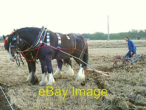 Photo 6x4 horse drawn plough - horse-drawn,