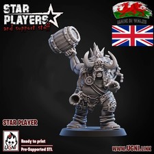 Norse Star Player  Fantasy