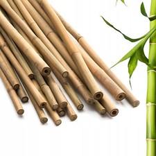 Bamboo Canes Strong Thick