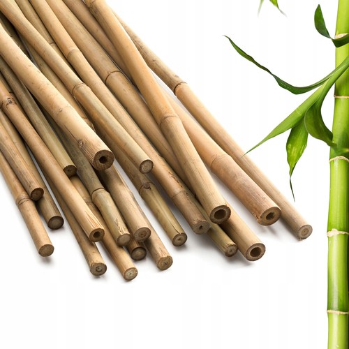 Bamboo canes strong thick - strong,