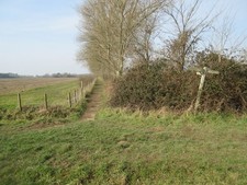 Photo A3 Route to Bosham Dell