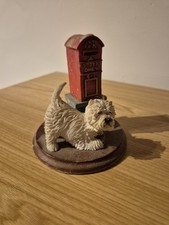 West Highland Terrier Dog