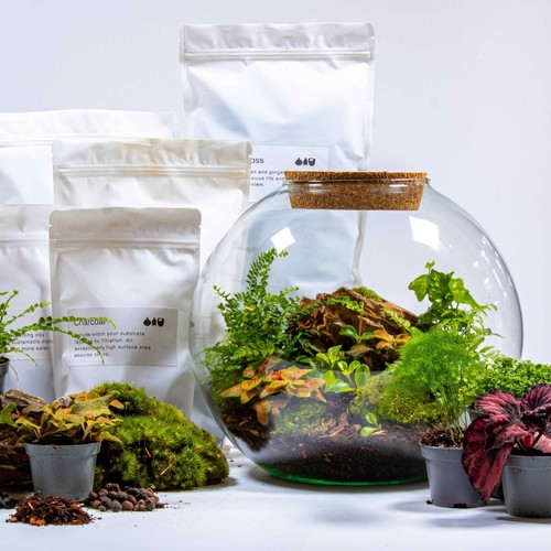Large diy terrarium - terrarium, globe