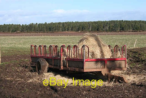 Photo 6x4 cattle feeder upper - photo,