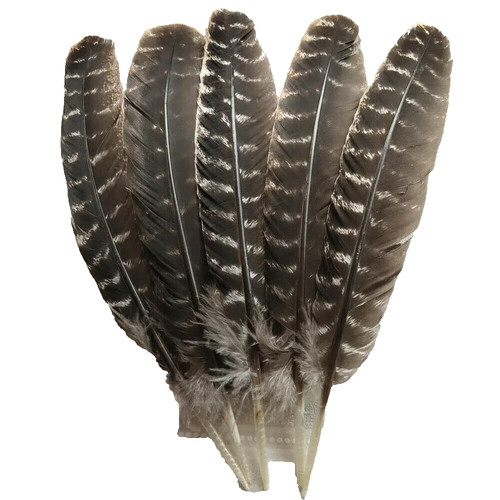 Natural wild brown turkey - natural,