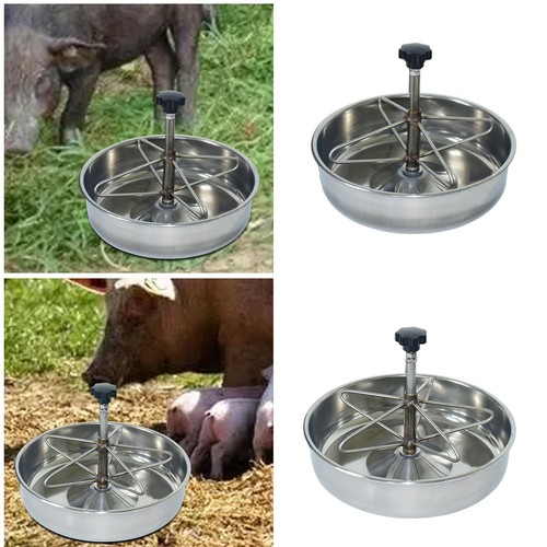 Pig food trough - food,