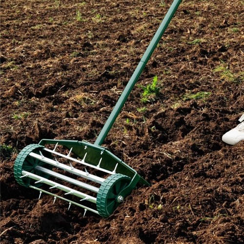 Outdoor garden lawn - outdoor,