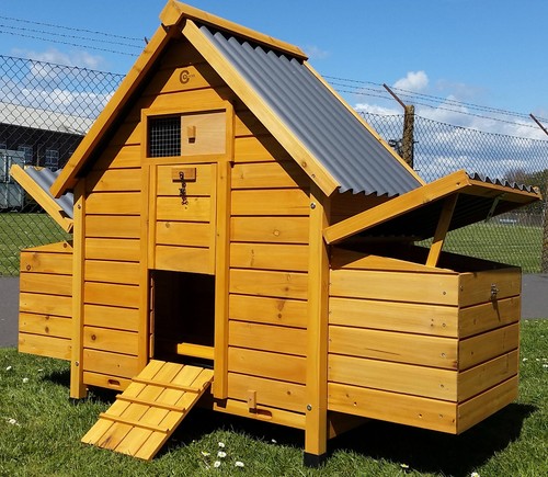 Chicken coop run - hen, house