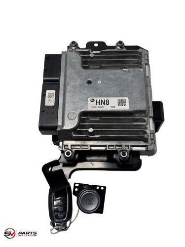 Hyundai elantra 2021 2025 - elantra, 2021-2025