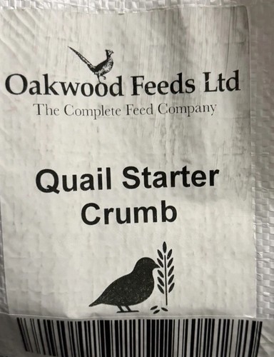 Oakwood quail chick - oakwood,
