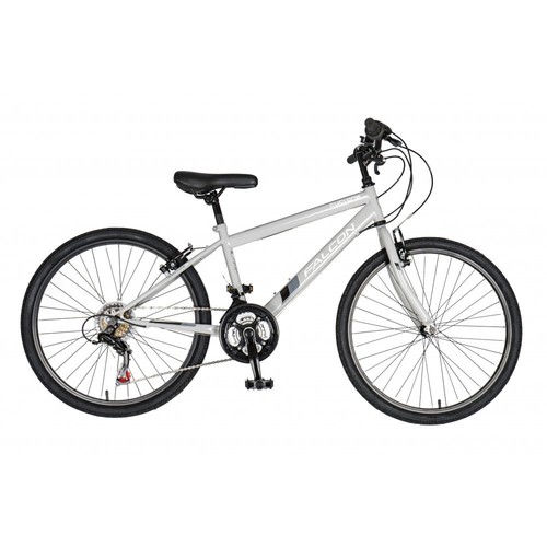 Falcon cyclone inch - 24", boys