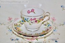 GORGEOUS Shelley Bone China Tea Set Spring Bouquet 13651 Trio Cup Saucer Plate