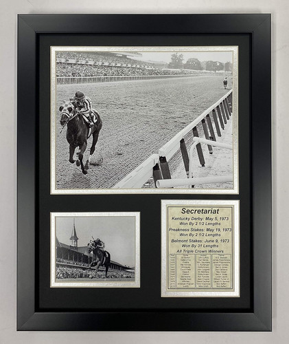 Championsip racehorse - championsip,