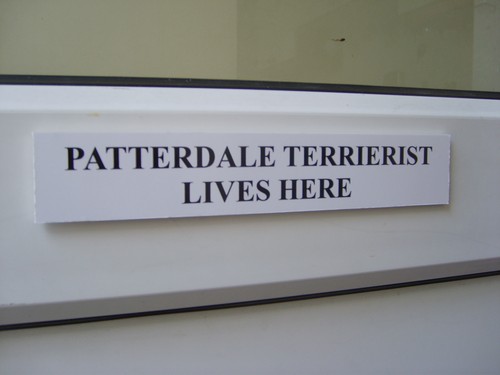 Patterdale terrierist lives - terrierist,